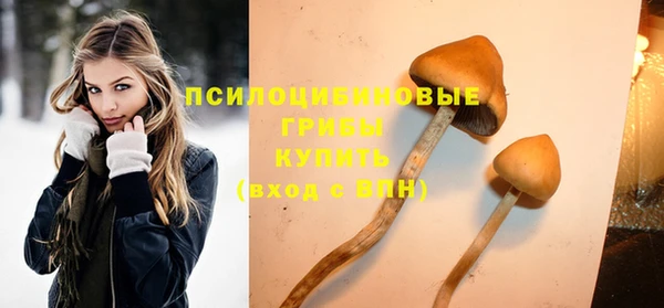 PSILOCYBIN Нязепетровск