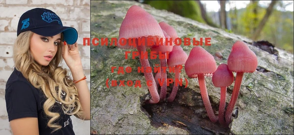 дмт Няндома