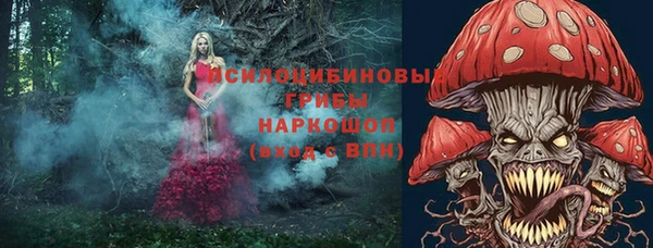 МДПВ Новодвинск
