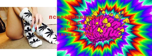 PSILOCYBIN Нязепетровск
