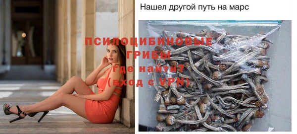 соль ск Новокубанск