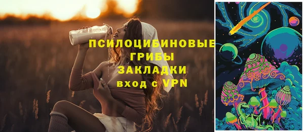 МДПВ Новодвинск
