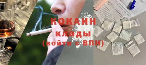 PSILOCYBIN Нязепетровск