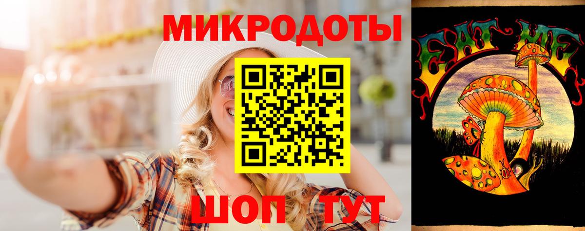 Псилоцибиновые грибы Psilocybe Якутск